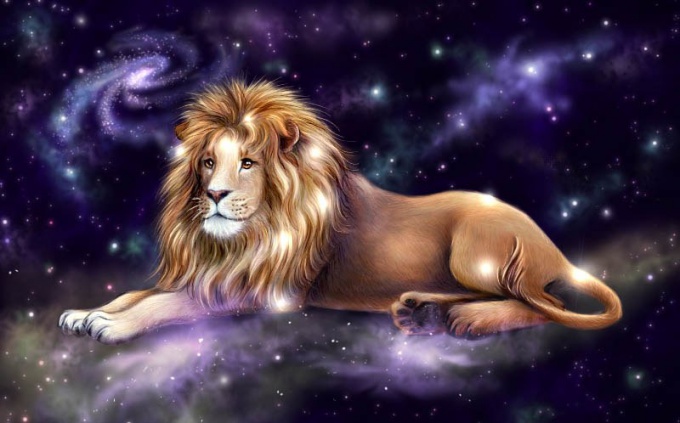 Lav  zeli da bude po njegovom, ma koliko ga to skupo kostalo…