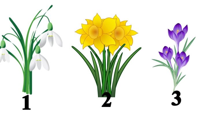 Izaberi prolecni cvet  i saznaces sta ces lepo doziveti tokom narednih meseci!