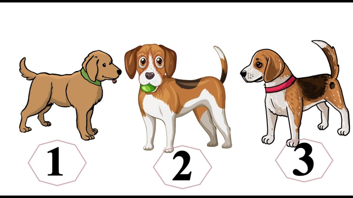 Slatki pas kojeg izaberes otkriva nesto lepo o tebi: Test licnosti koji ce te obradovati! Slatki pas kojeg izaberes otkriva nesto lepo o tebi: Test licnosti koji ce te obradovati!