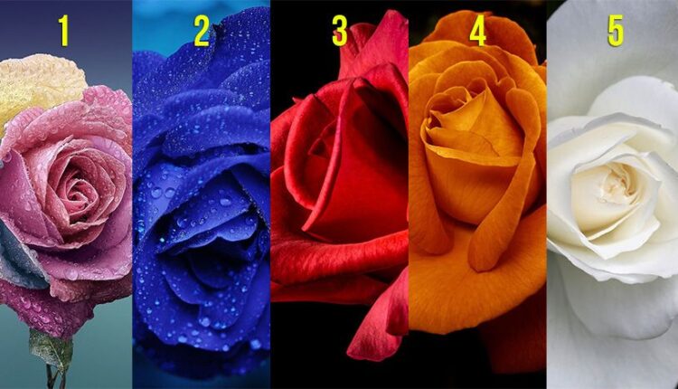 Izaberite ružu koja vam se najviše dopada: Test otkriva šta vas vodi u životu, a šta krijete od drugih