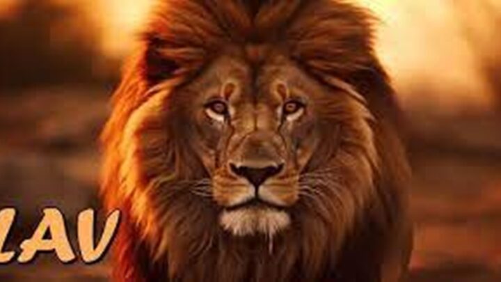 Lav je jaci od sudbine i od zivota:Ne ocajava vec se bori!