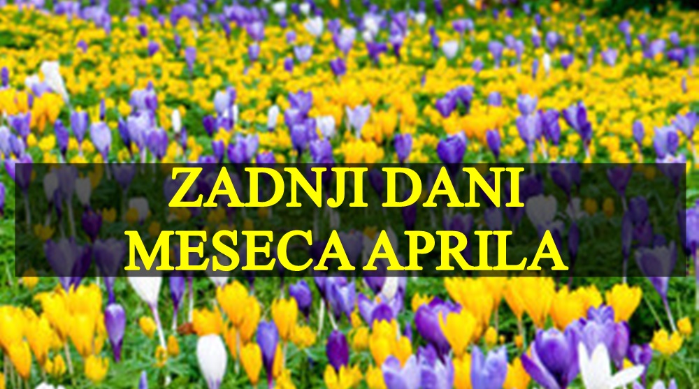 Ovan donosi odluku,Bik je spreman da se bori… Ovan donosi odluku,Bik je spreman da se bori…
