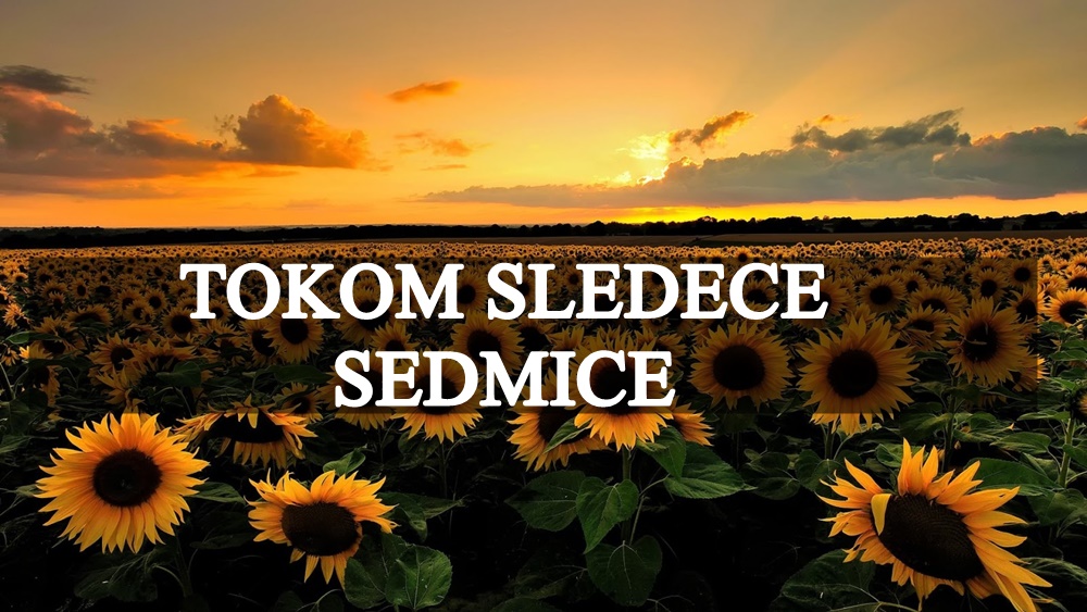 Tokom sledece sedmice, ovaj znak ce imati najmanje srece i najvise ce patiti! Tokom sledece sedmice, ovaj znak ce imati najmanje srece i najvise ce patiti!
